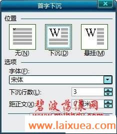 Word2003³