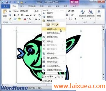 Word 2010ĵ޸ļɫ